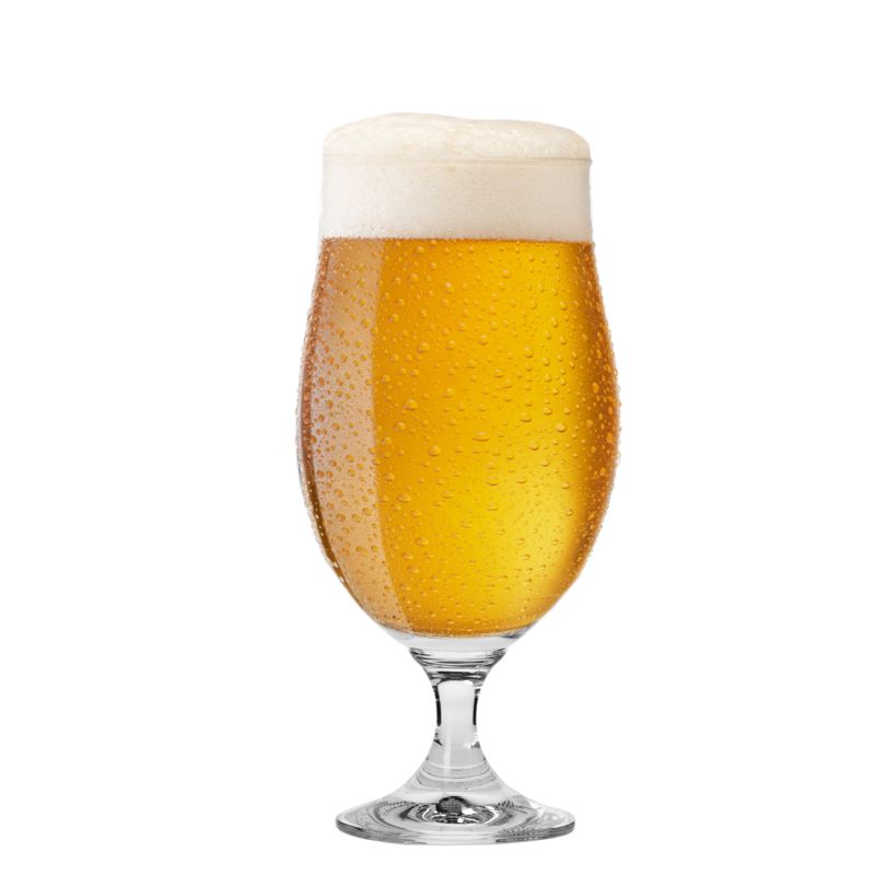 HARMONY Stemmed Beer Glass Set